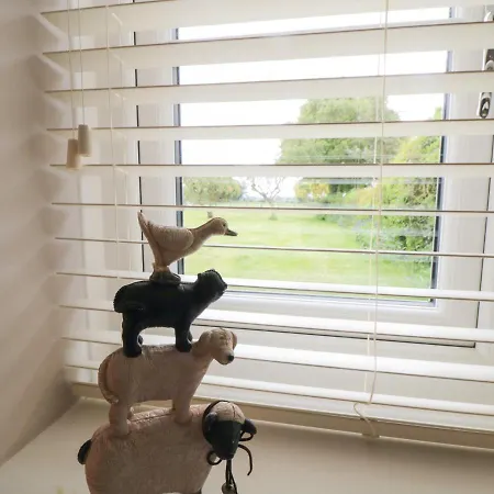 Cartwheel * ヨーク